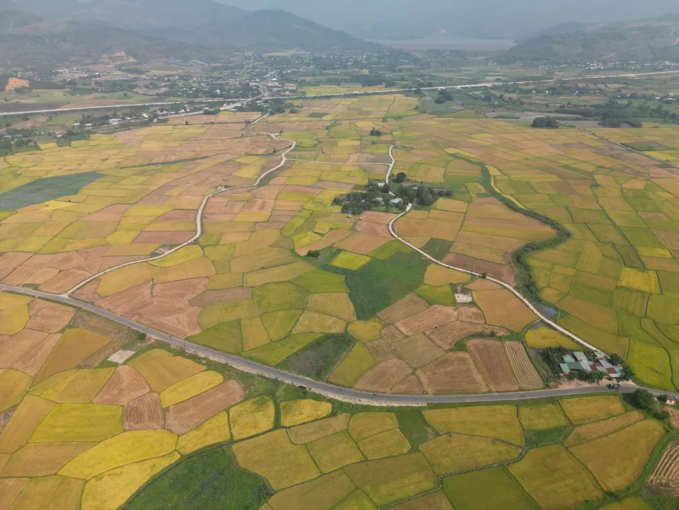 Kho gạo của Đoàn Thị Tình